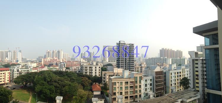 Pristine Heights (D8), Apartment #117754652
